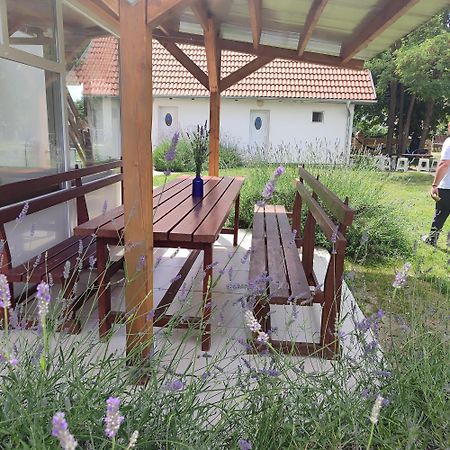 Mirella Rooms Palić Exteriör bild
